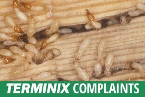 terminix complaints fi